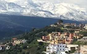 Marjoram - Morfi Village